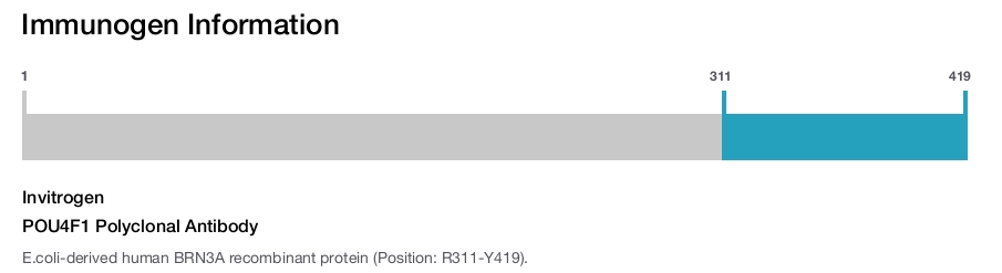 POU4F1 Polyclonal Antibody