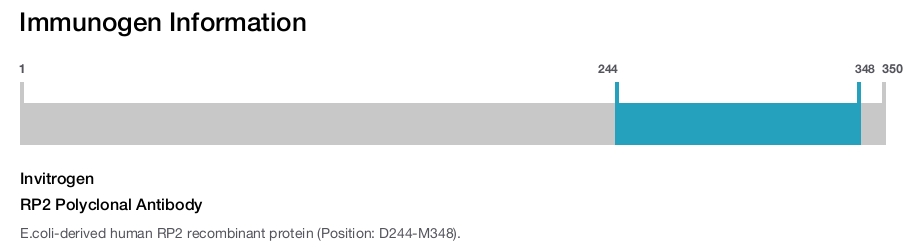 RP2 Polyclonal Antibody