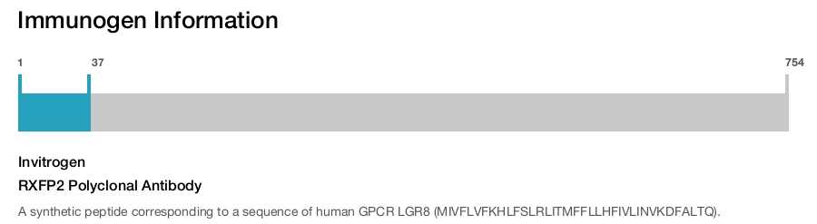 RXFP2 Polyclonal Antibody
