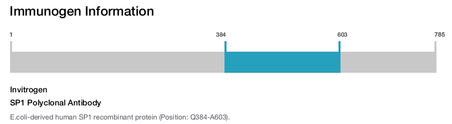 SP1 Polyclonal Antibody