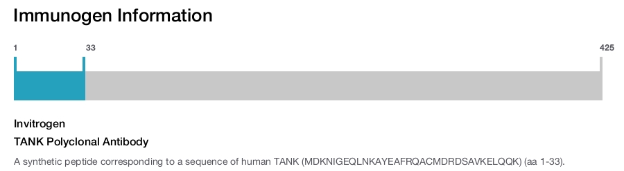 TANK Polyclonal Antibody