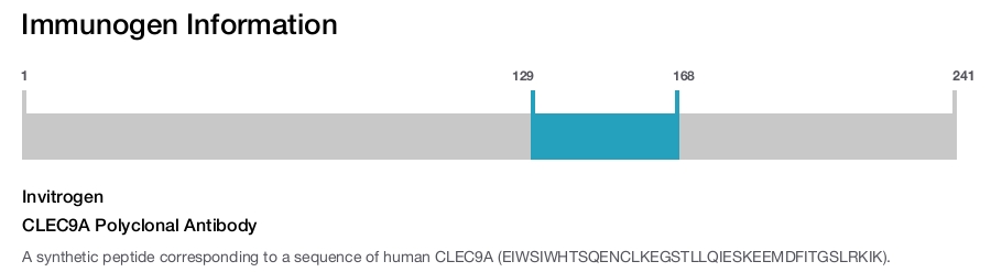 CLEC9A Polyclonal Antibody
