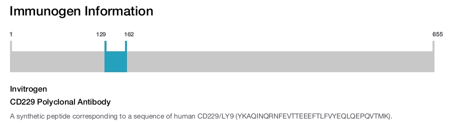 CD229 Polyclonal Antibody