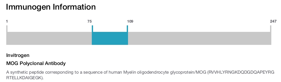 MOG Polyclonal Antibody