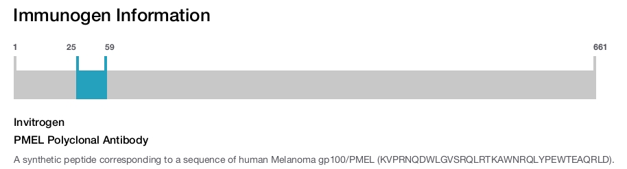 PMEL Polyclonal Antibody