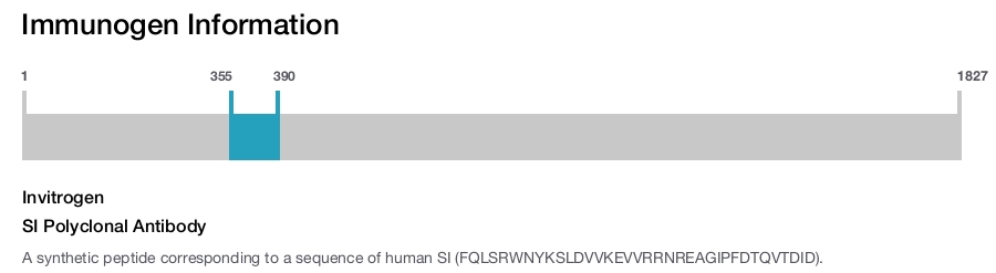 SI Polyclonal Antibody