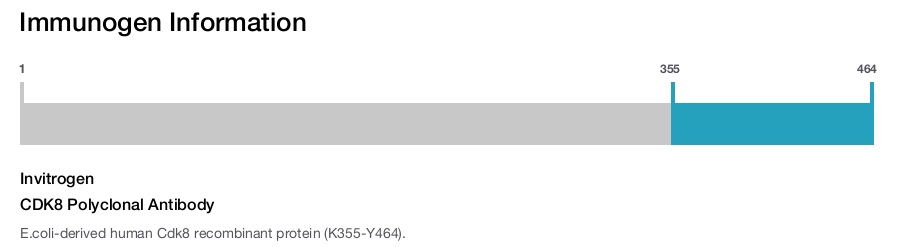 CDK8 Polyclonal Antibody