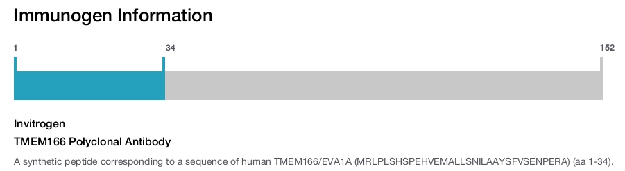 TMEM166 Polyclonal Antibody