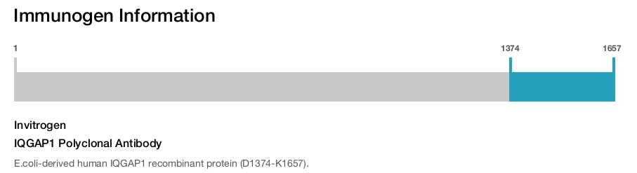 IQGAP1 Polyclonal Antibody