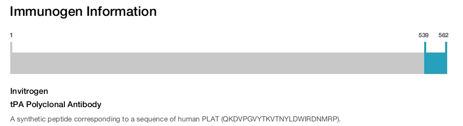 tPA Polyclonal Antibody