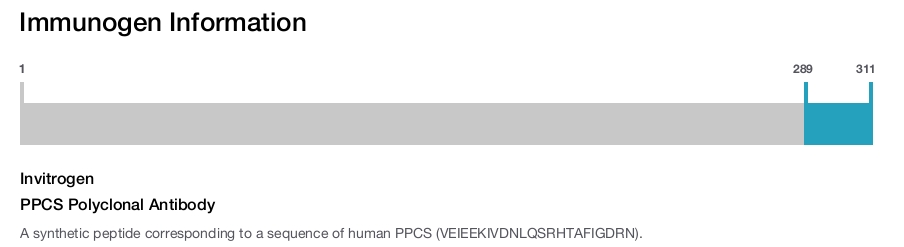 PPCS Polyclonal Antibody
