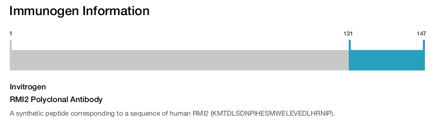 RMI2 Polyclonal Antibody