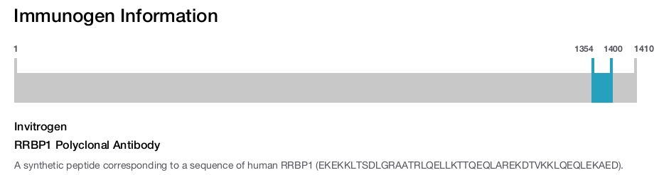 RRBP1 Polyclonal Antibody
