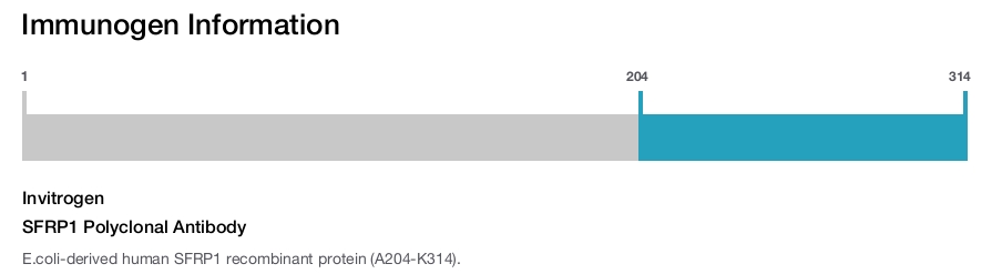 SFRP1 Polyclonal Antibody