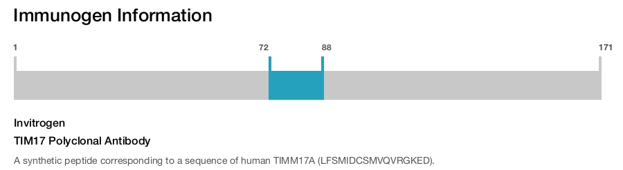 TIM17 Polyclonal Antibody
