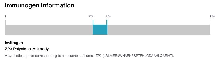 ZP3 Polyclonal Antibody
