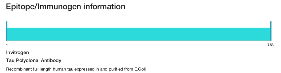 Tau Polyclonal Antibody