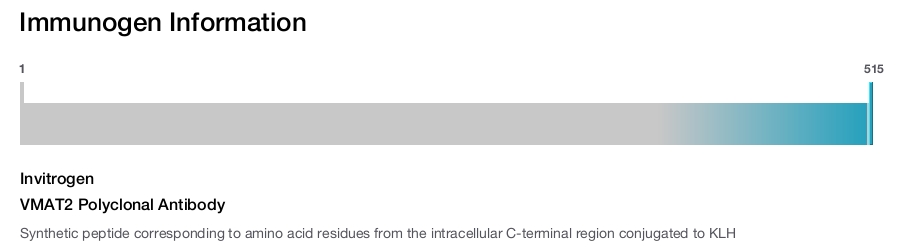 VMAT2 Polyclonal Antibody