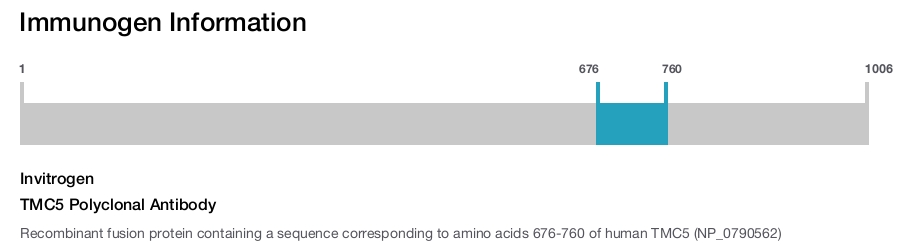 TMC5 Polyclonal Antibody