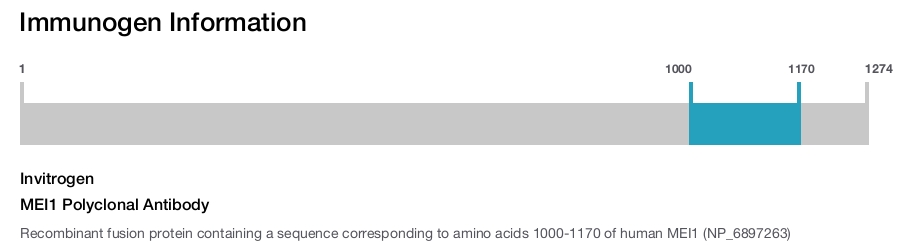 MEI1 Polyclonal Antibody