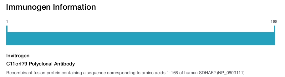 C11orf79 Polyclonal Antibody