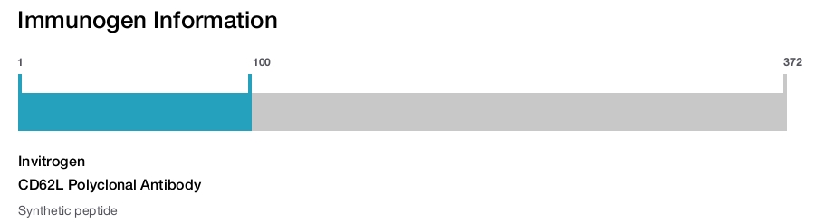 CD62L Polyclonal Antibody