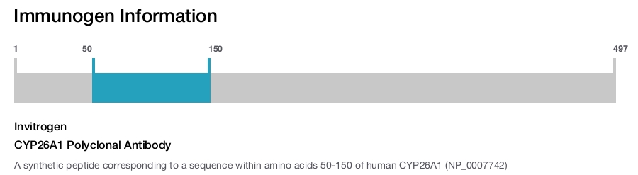 CYP26A1 Polyclonal Antibody