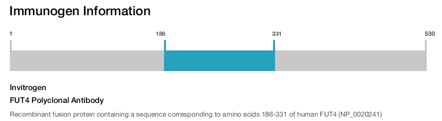 FUT4 Polyclonal Antibody