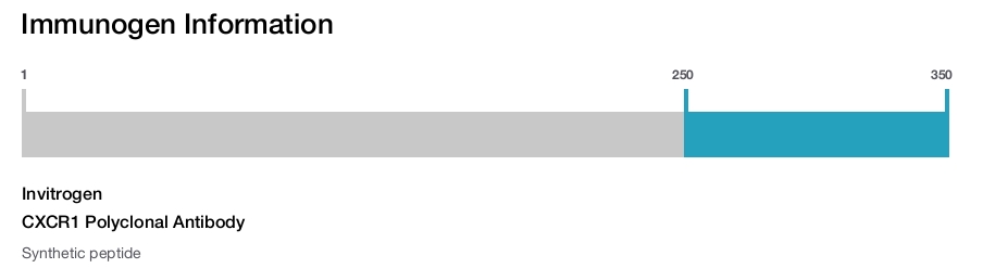 CXCR1 Polyclonal Antibody