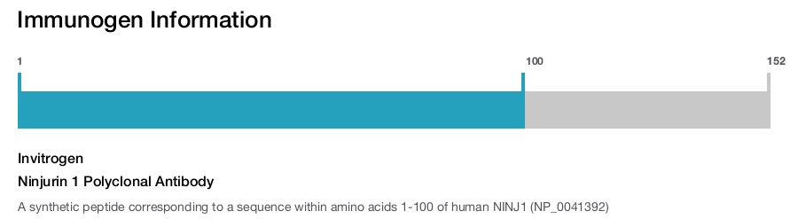 Ninjurin 1 Polyclonal Antibody