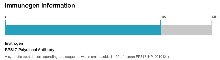 RPS17 Polyclonal Antibody