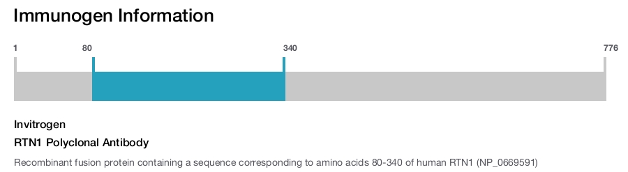 RTN1 Polyclonal Antibody