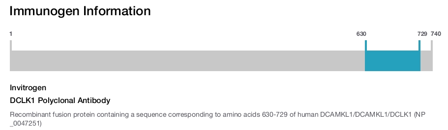 DCLK1 Polyclonal Antibody