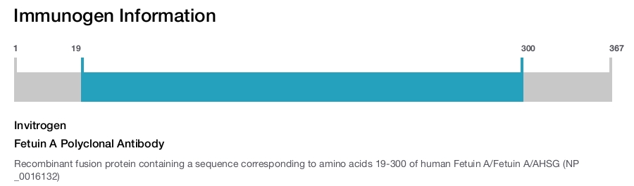 Fetuin A Polyclonal Antibody