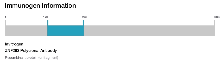 ZNF263 Polyclonal Antibody