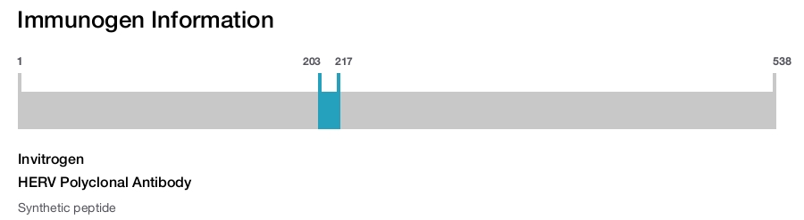 HERV Polyclonal Antibody