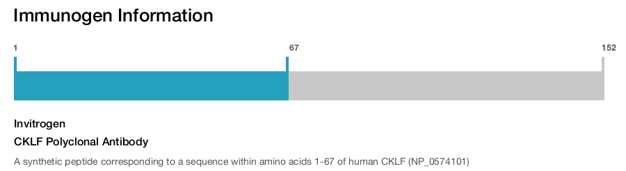 CKLF Polyclonal Antibody