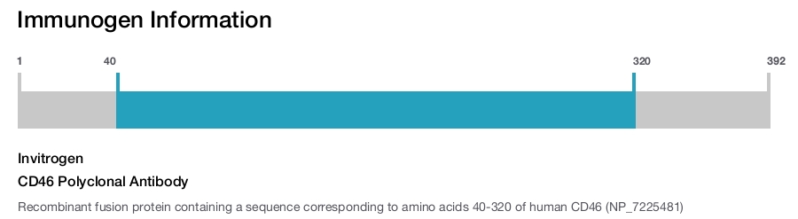 CD46 Polyclonal Antibody