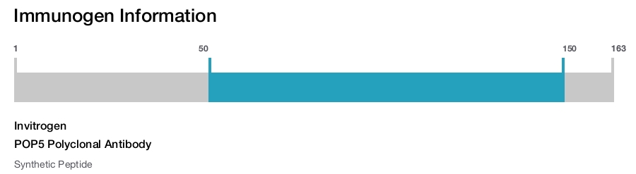 POP5 Polyclonal Antibody