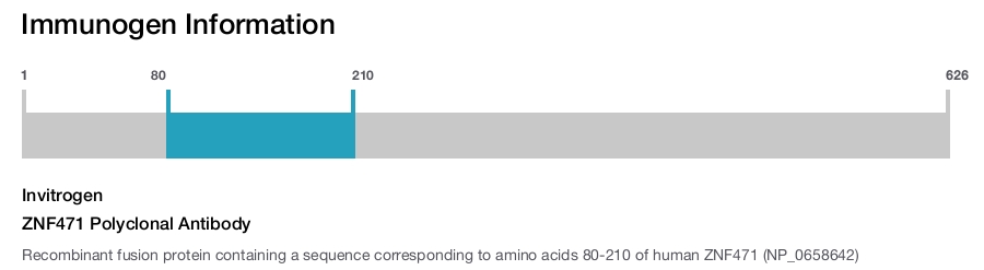 ZNF471 Polyclonal Antibody