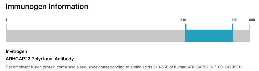 ARHGAP22 Polyclonal Antibody