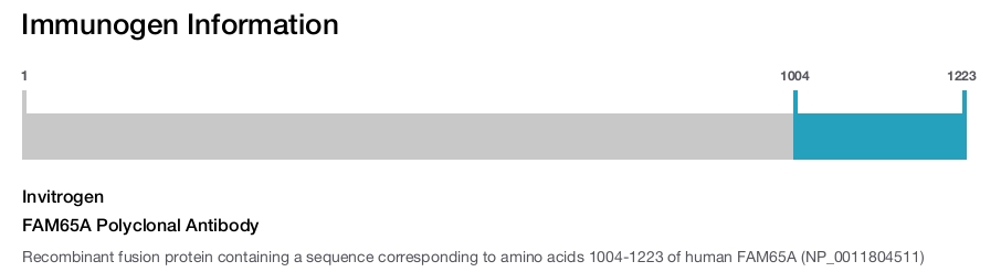 FAM65A Polyclonal Antibody