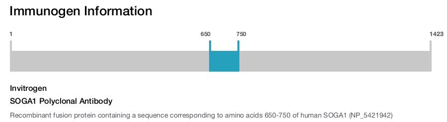 SOGA1 Polyclonal Antibody