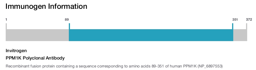PPM1K Polyclonal Antibody