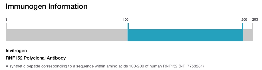 RNF152 Polyclonal Antibody