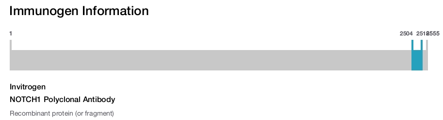 NOTCH1 Polyclonal Antibody