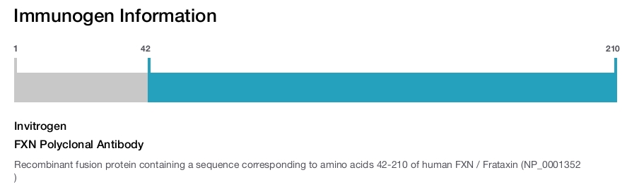 FXN Polyclonal Antibody