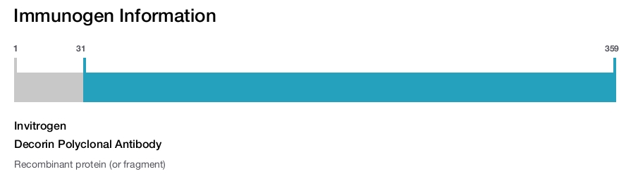 Decorin Polyclonal Antibody