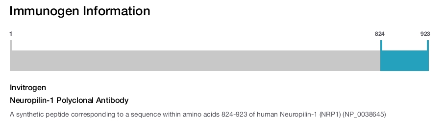 Neuropilin-1 Polyclonal Antibody