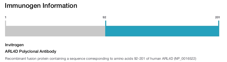 ARL4D Polyclonal Antibody